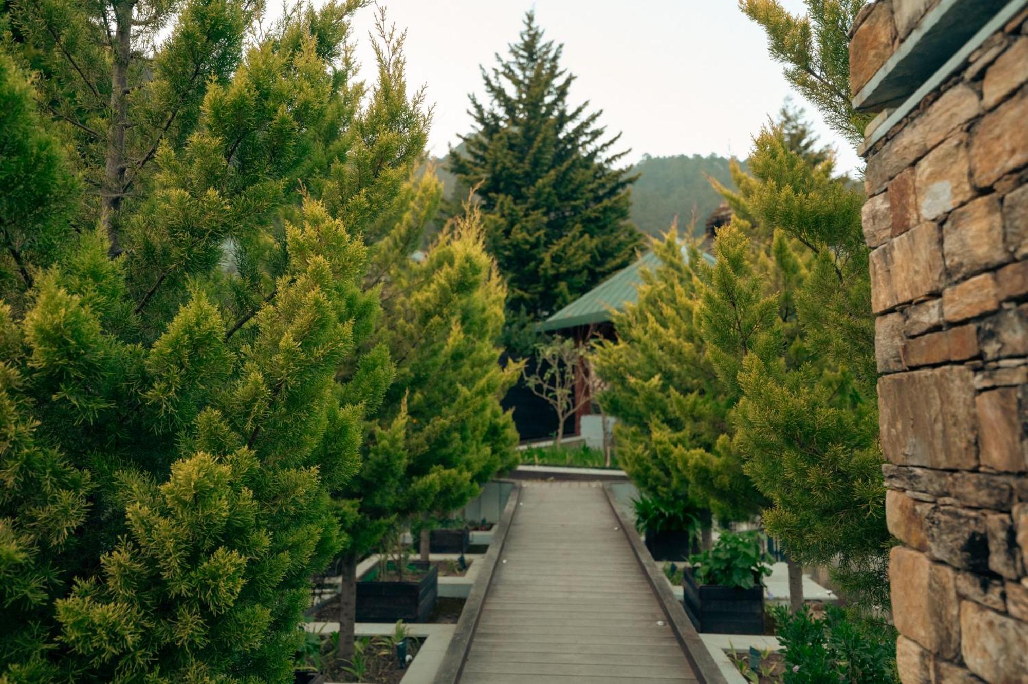 Brij Atmanya Bhowali, Nainital, A Luxury Mountain Escape Екстер'єр фото